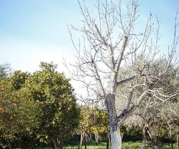 άθοσ Casa de Férias Náuplia