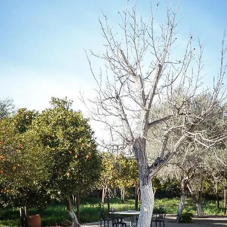 άθοσ Tatil Evi Anabolu