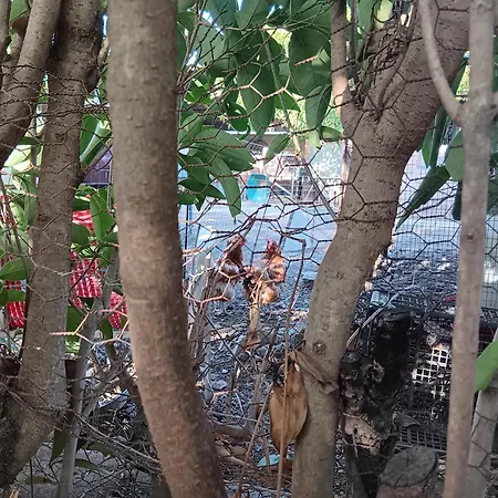 άθοσ Prázdninový dům *