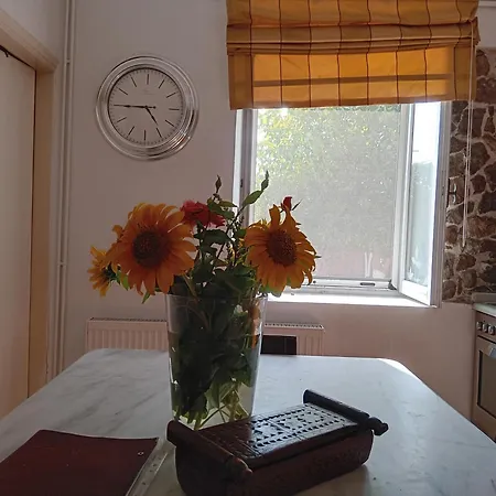 άθοσ Tatil Evi Anabolu